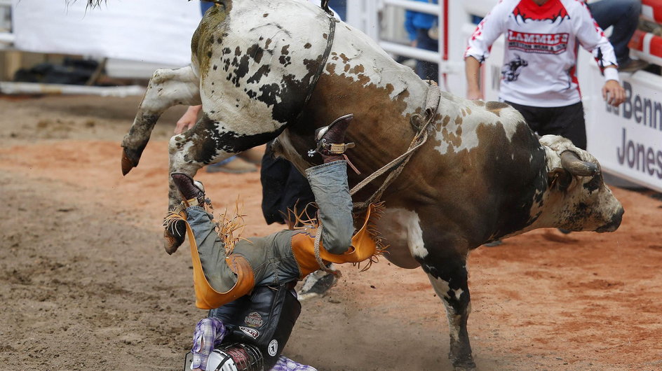 Rodeo w Calgary