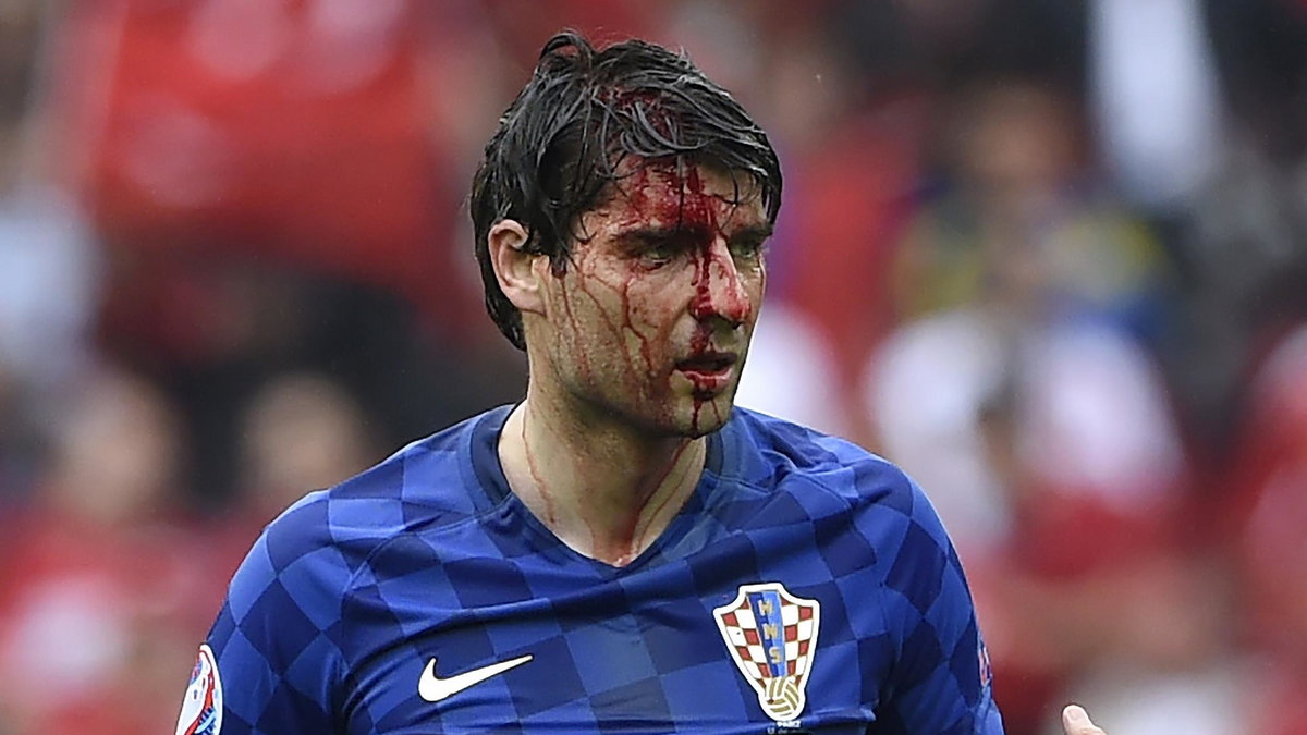 Vedran Ćorluka