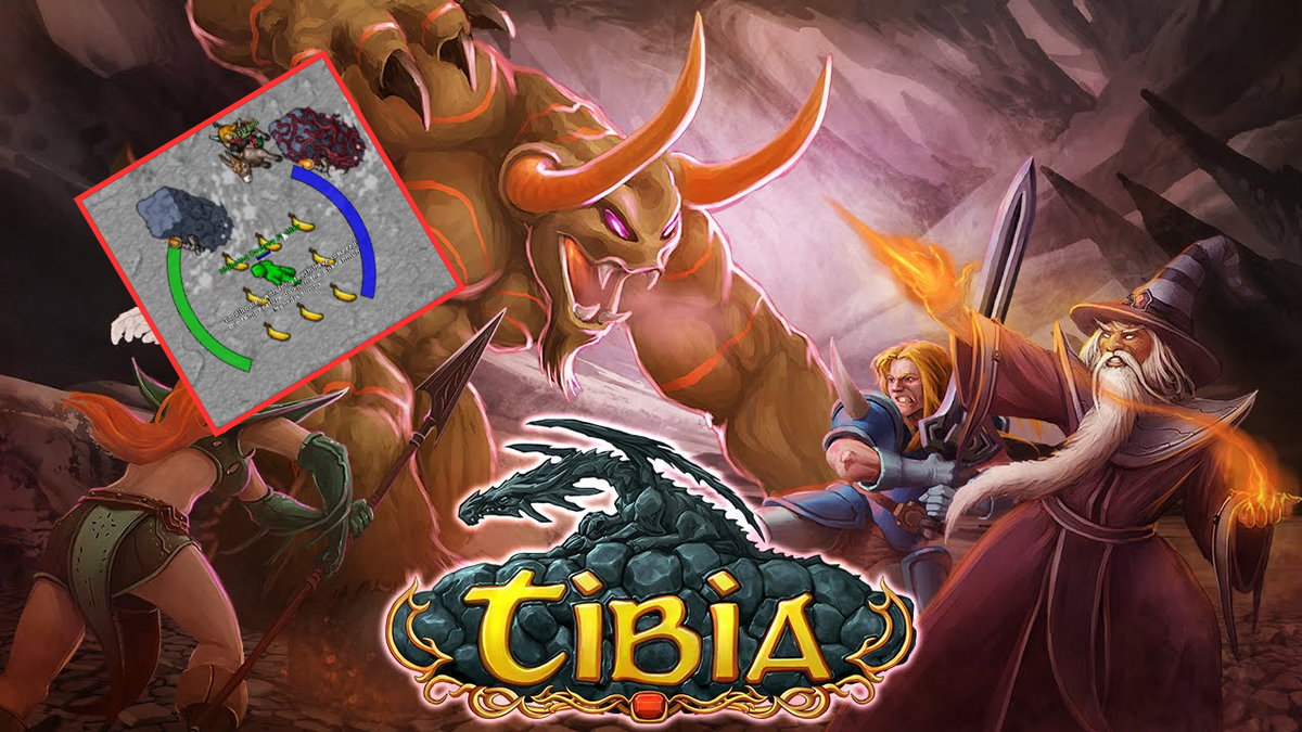 Tibia