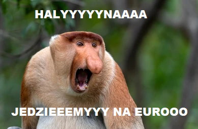 Jedziemy na Euro! Memy po meczu Walia — Polska