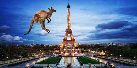 Memy po meczu Francja - Australia