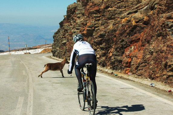 Paula Gorycka w Sierra Nevada