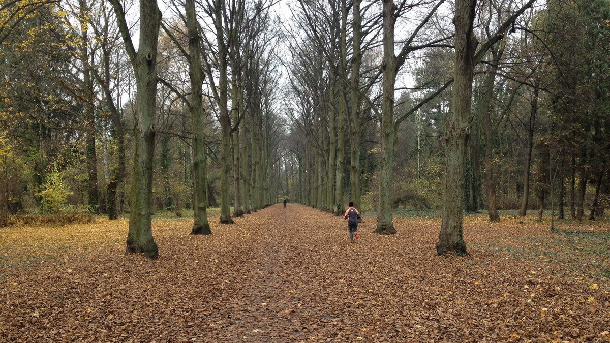 Park Grabiszyński