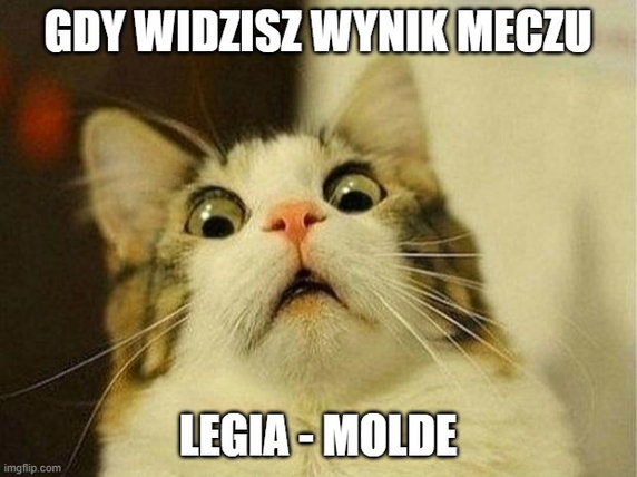 Memy po meczu Legia Warszawa — Molde FK