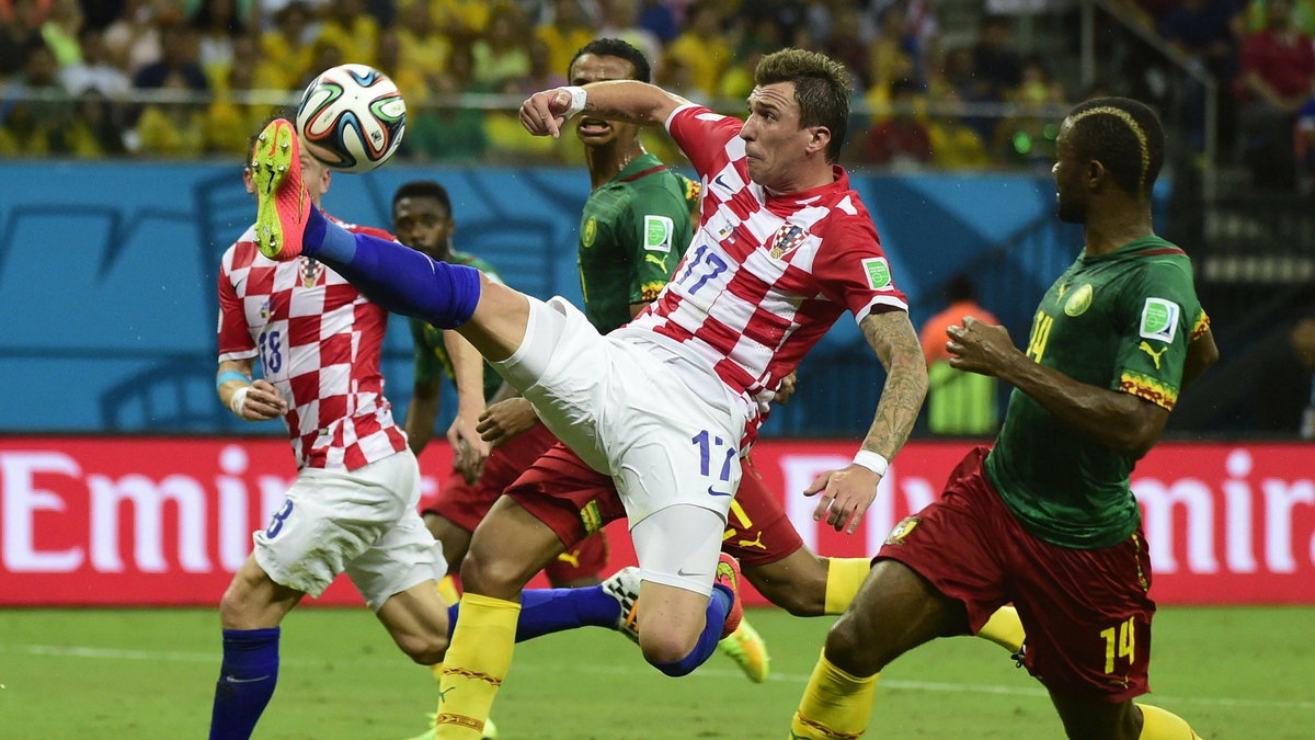 Mario Mandzukic