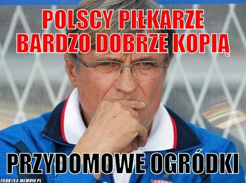 Memy po towarzyskim meczu Polska - Irlandia