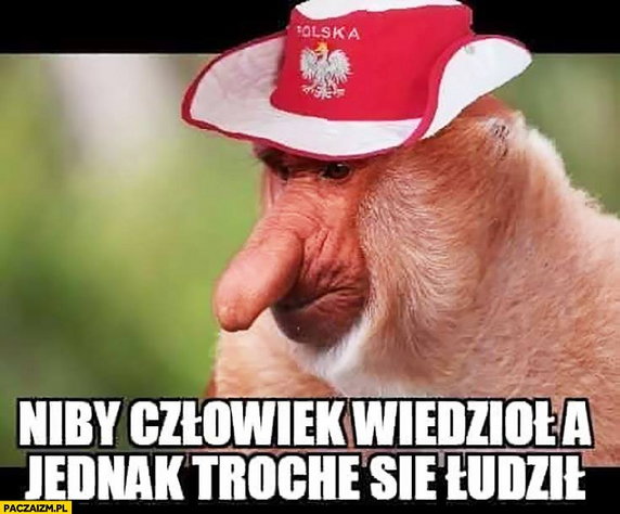 Memy po meczu Albania — Polska