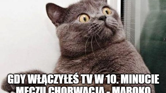 Memy po meczu Chorwacja — Maroko