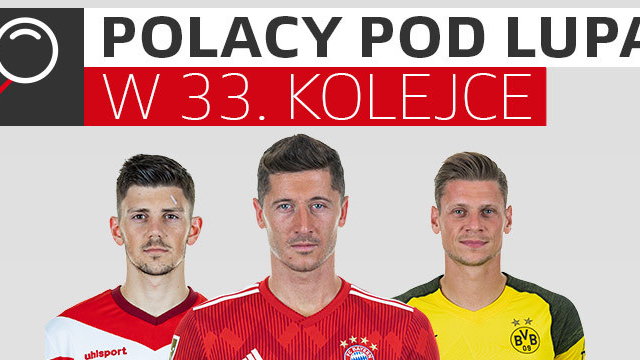 Polacy pod lupą