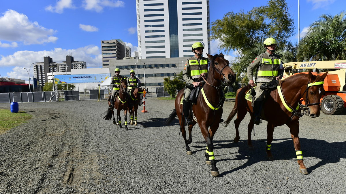 Policja na mundialu