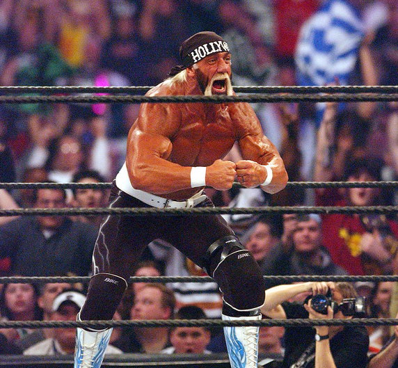 Hulk Hogan 2002 