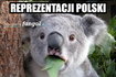 Polska przegrała z Nigerią - memy po meczu fot. Internet