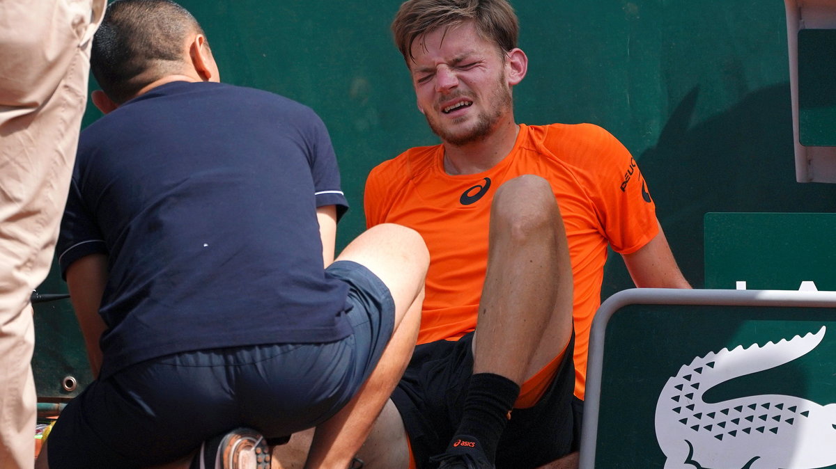 David Goffin