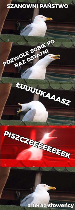 Memy po meczu Polska — Słowenia=