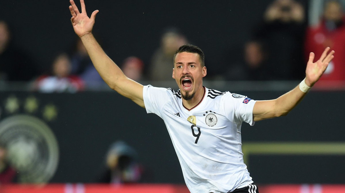 Sandro Wagner