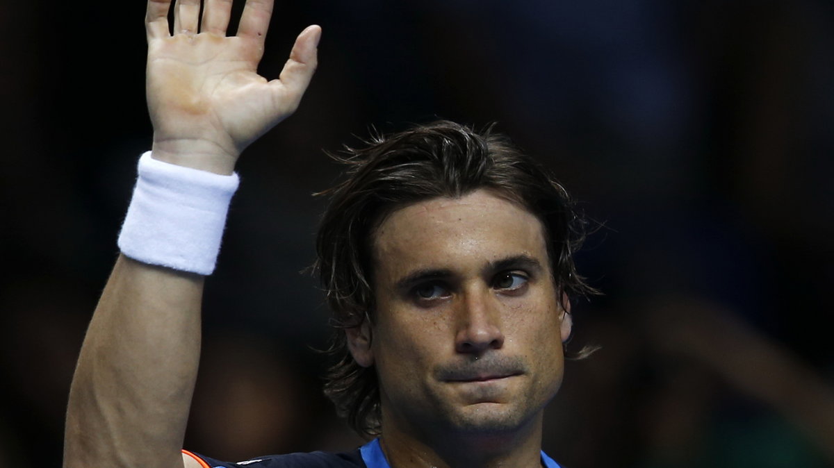 David Ferrer