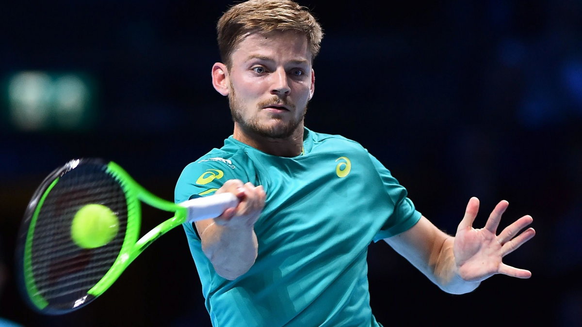 David Goffin