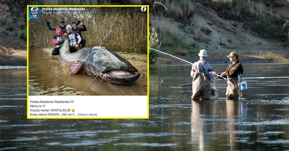 Tak ogromne ryby Polacy wyciągają z wody. To się nie mieści w głowie