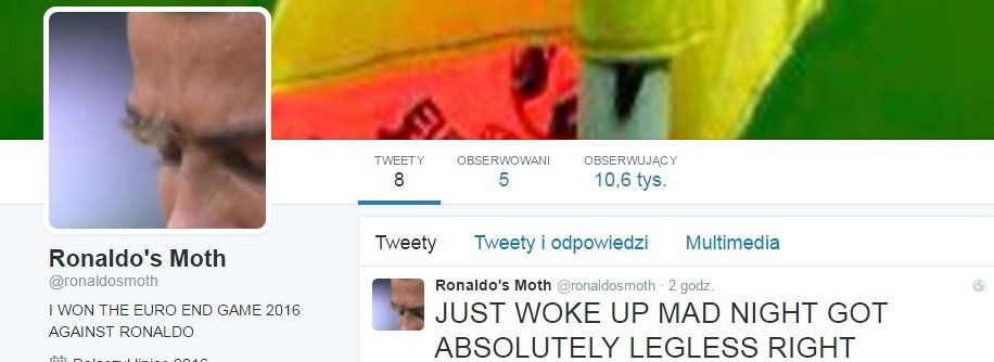 Na Twitterze powstał profil ćmy, która usiadła na CR7