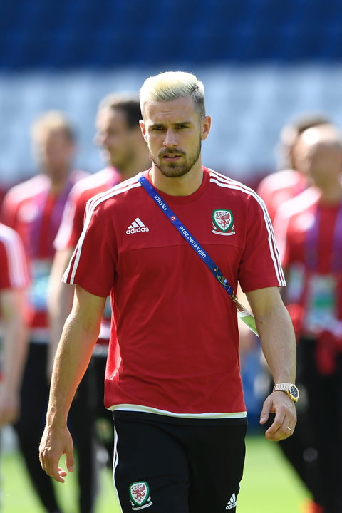 FBL-EURO-2016-WAL-TRAINING