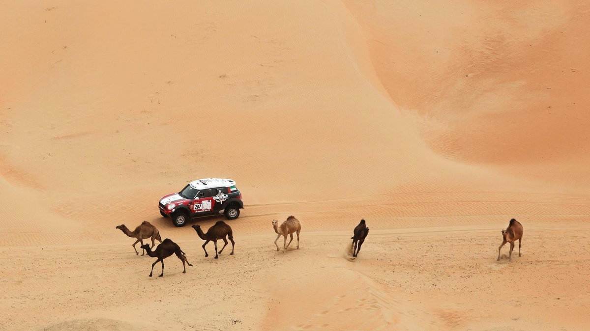 UAE-DESERT-CHALLENGE