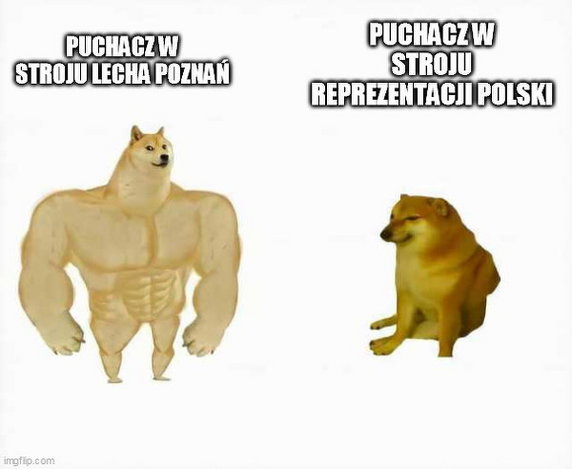 Memy po meczu Polska - Rosja