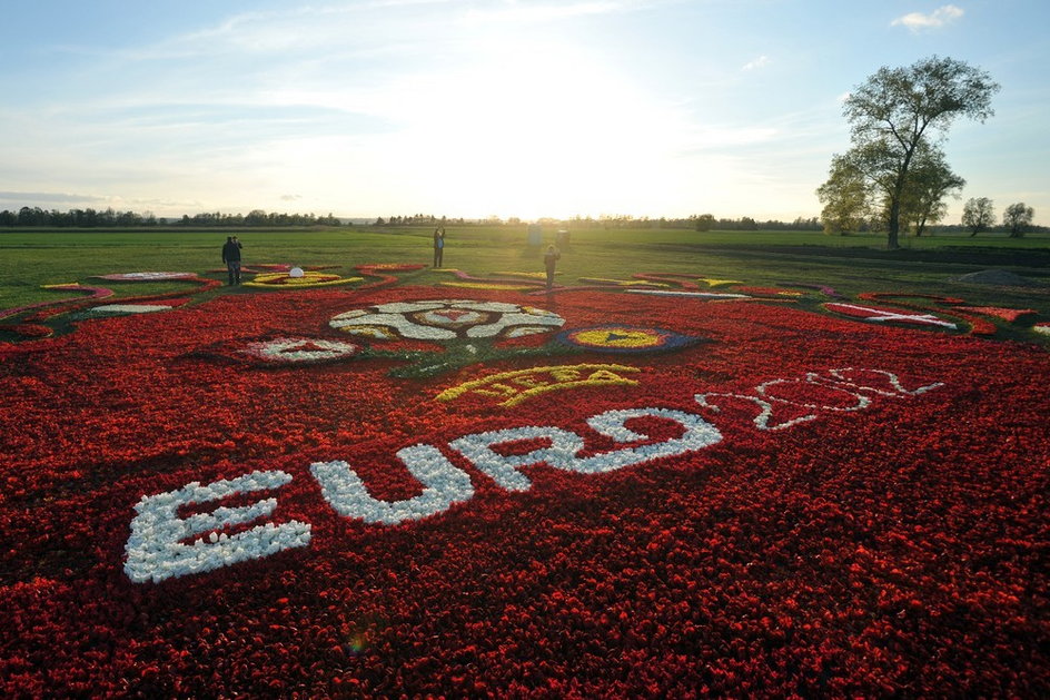 Logo Euro 2012 z tulipanów