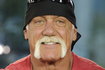 Hulk Hogan 2013 rok