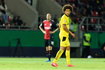 Axel Witsel