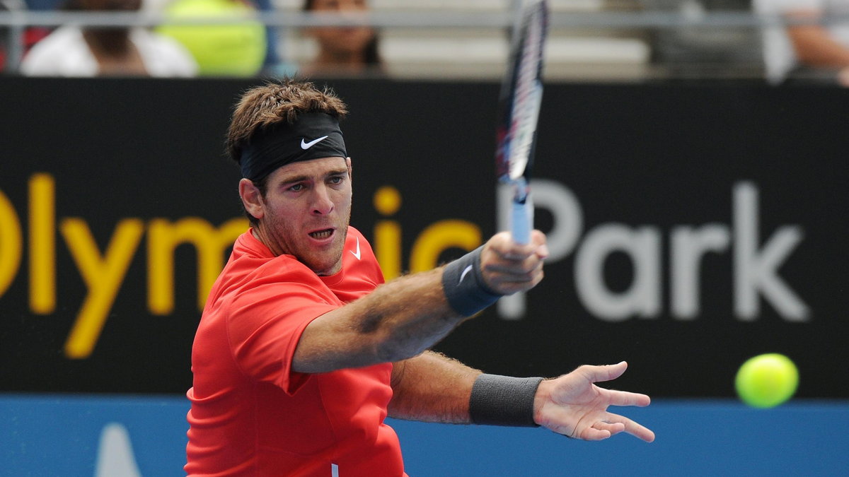 Juan Martin del Potro