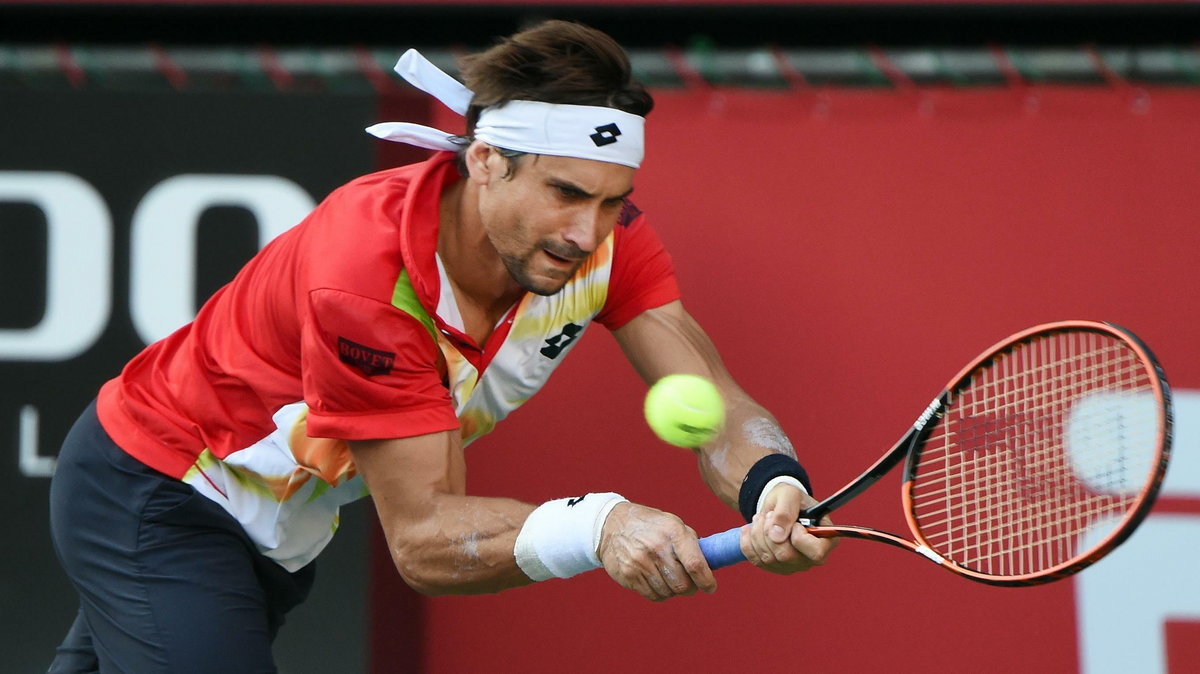 David Ferrer