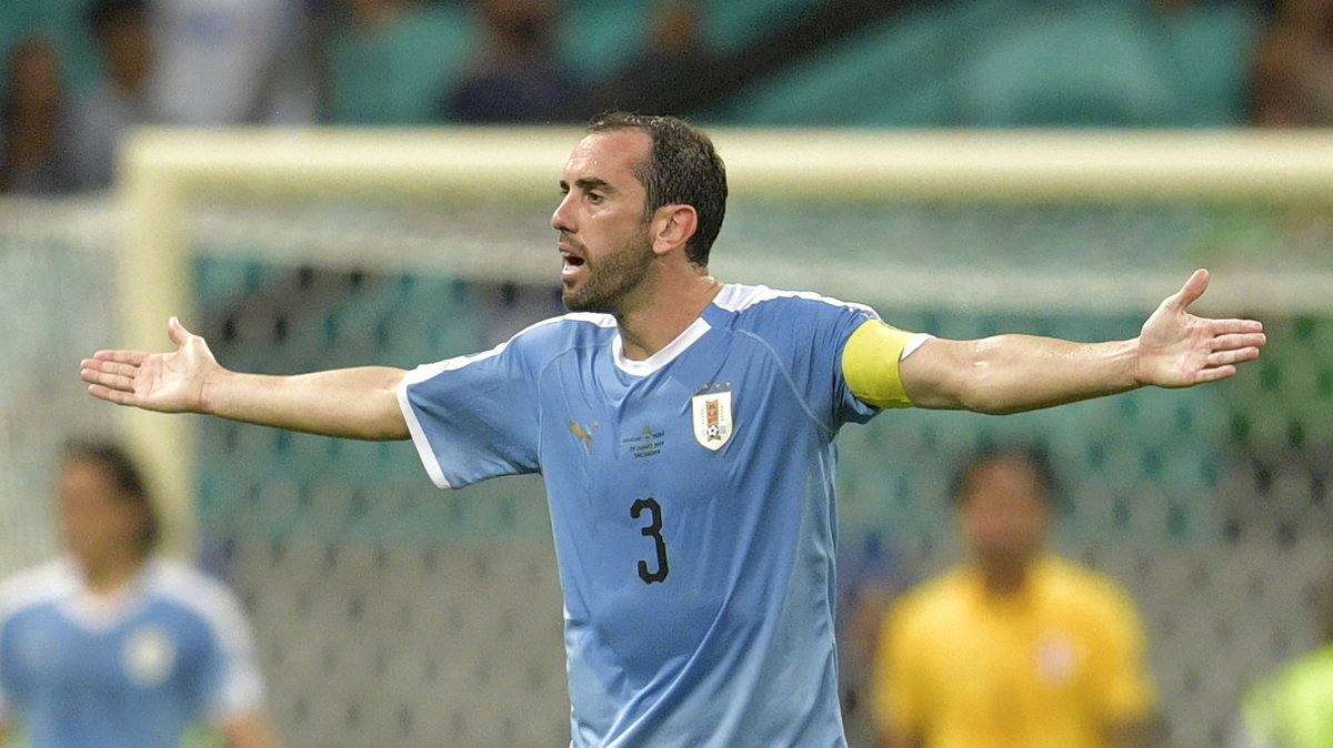 Diego Godin