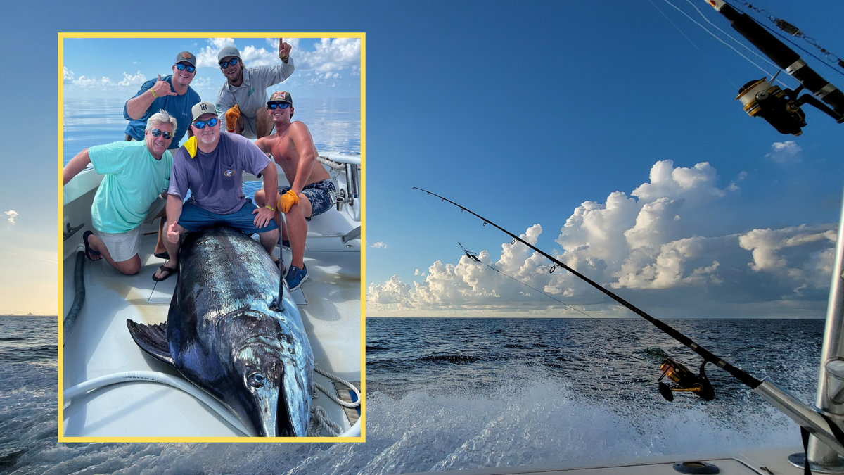 Podczas zawodów w Alabamie wyłowiono ważącego ponad 350 kg marlina (screen: Orange Beach Billfish Classic/Facebook)