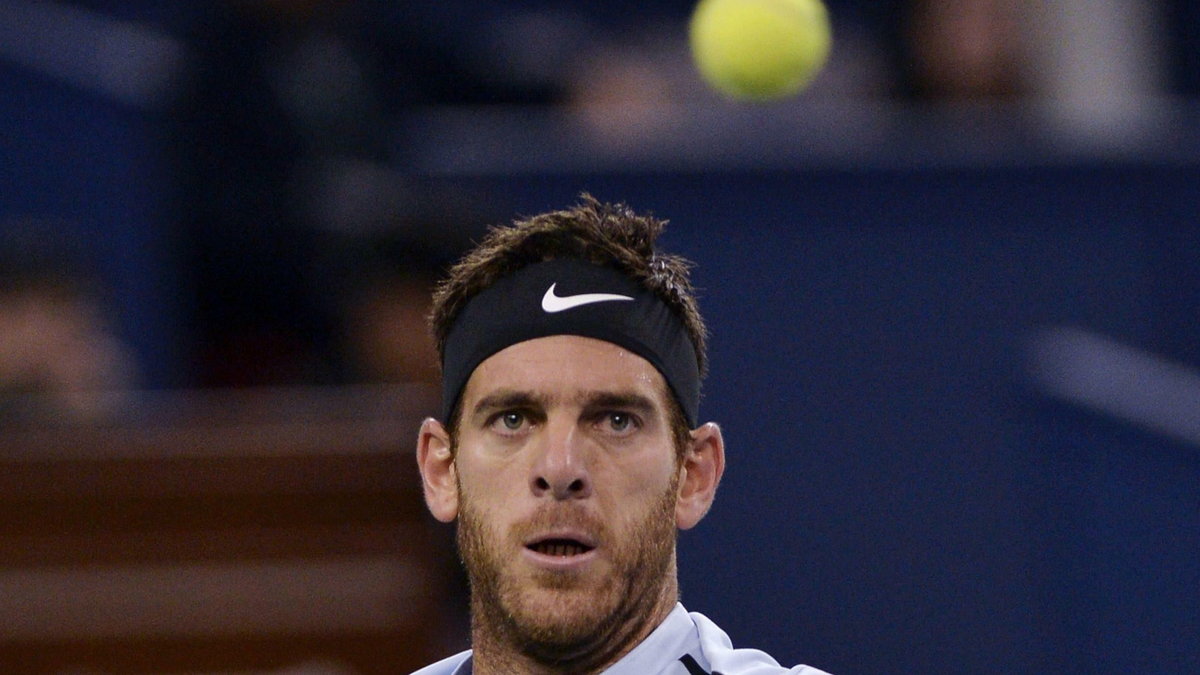 Juan Martin del Potro