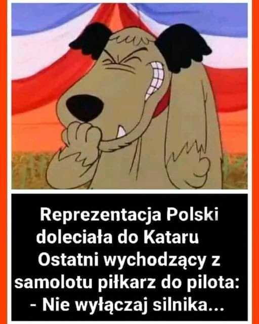 Memy po meczu Polska-Meksyk