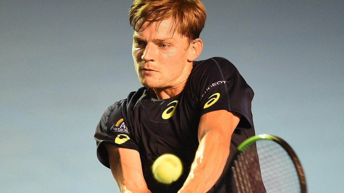 David Goffin