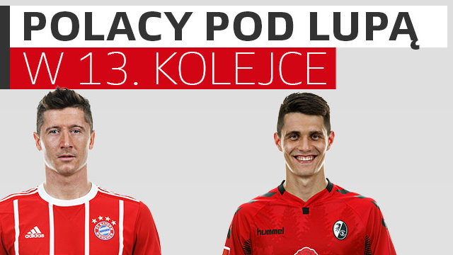 Polacy pod lupą