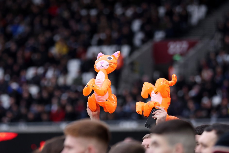 Fani Newcastle wnieśli na stadion nadmuchiwane koty