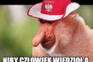 Memy po meczu Polska - Czechy