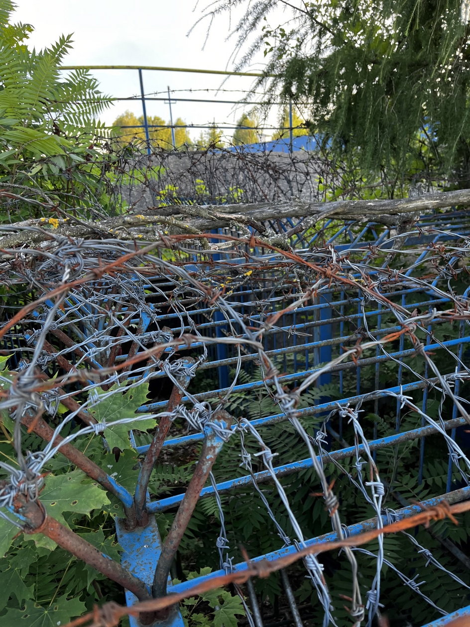 Obiekt znajduje się pod ochroną, dzięki czemu miejsce jest wolne od lokalnych wandali. Prym wiedzie tutaj natura