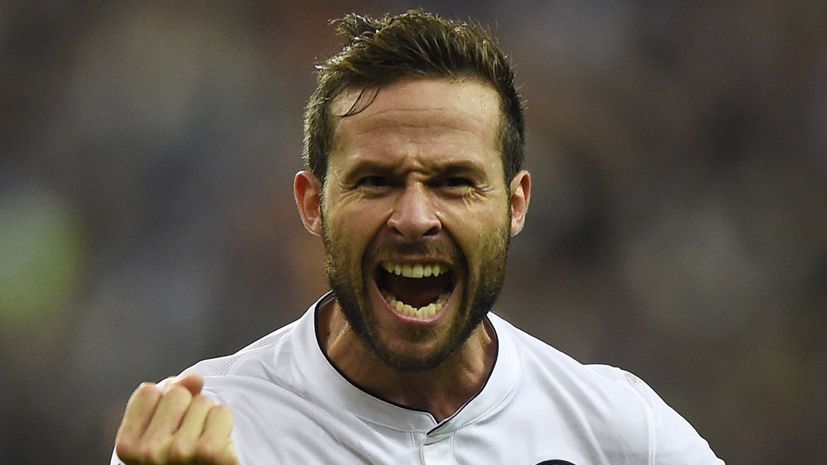 Yohan Cabaye, fot. AFP