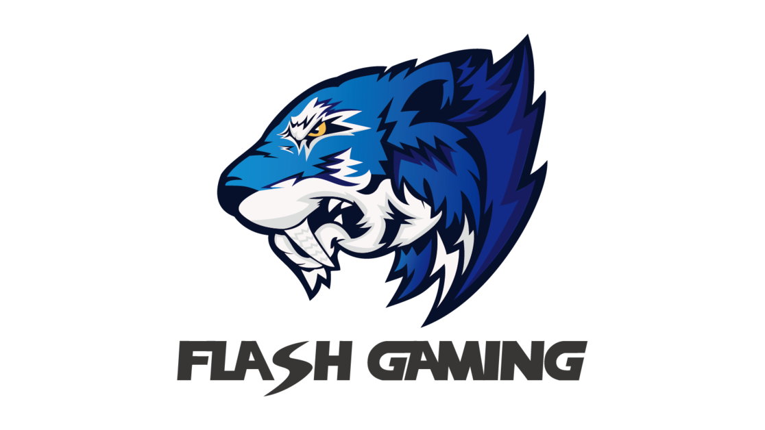 Flash Gaming