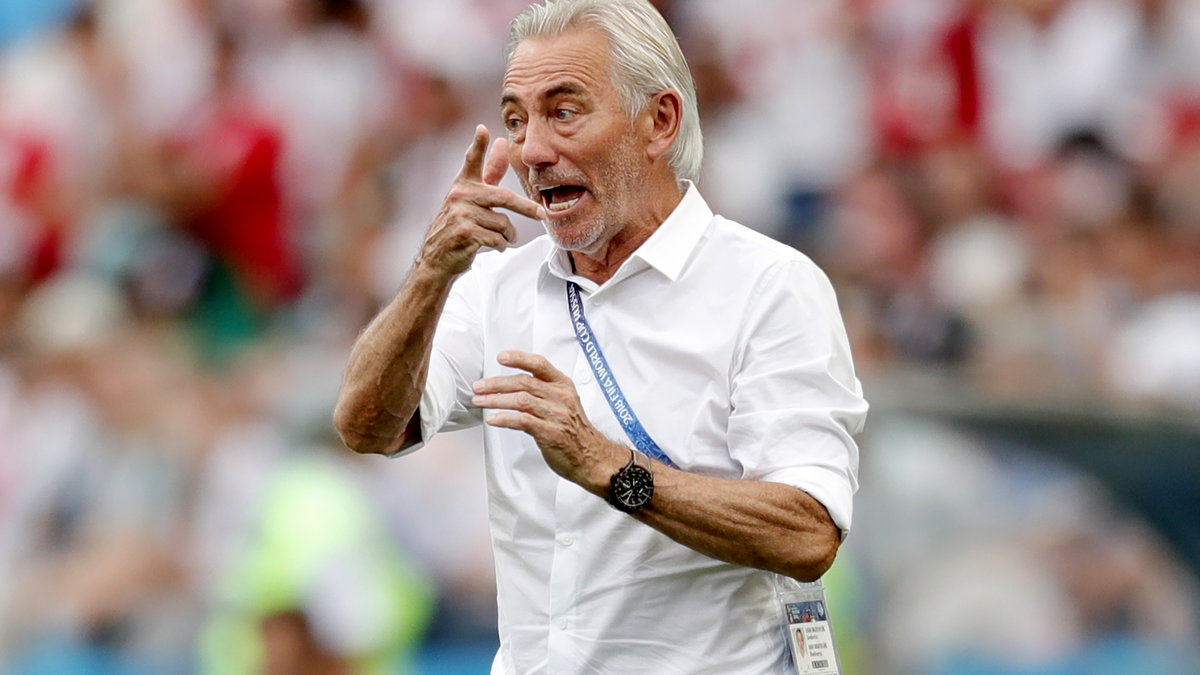 Bert van Marwijk