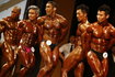 SOUTH KOREA BODY BUILDING (SOUTH KOREA NABBA/WFF KOREA CHAMPIONSHIP)