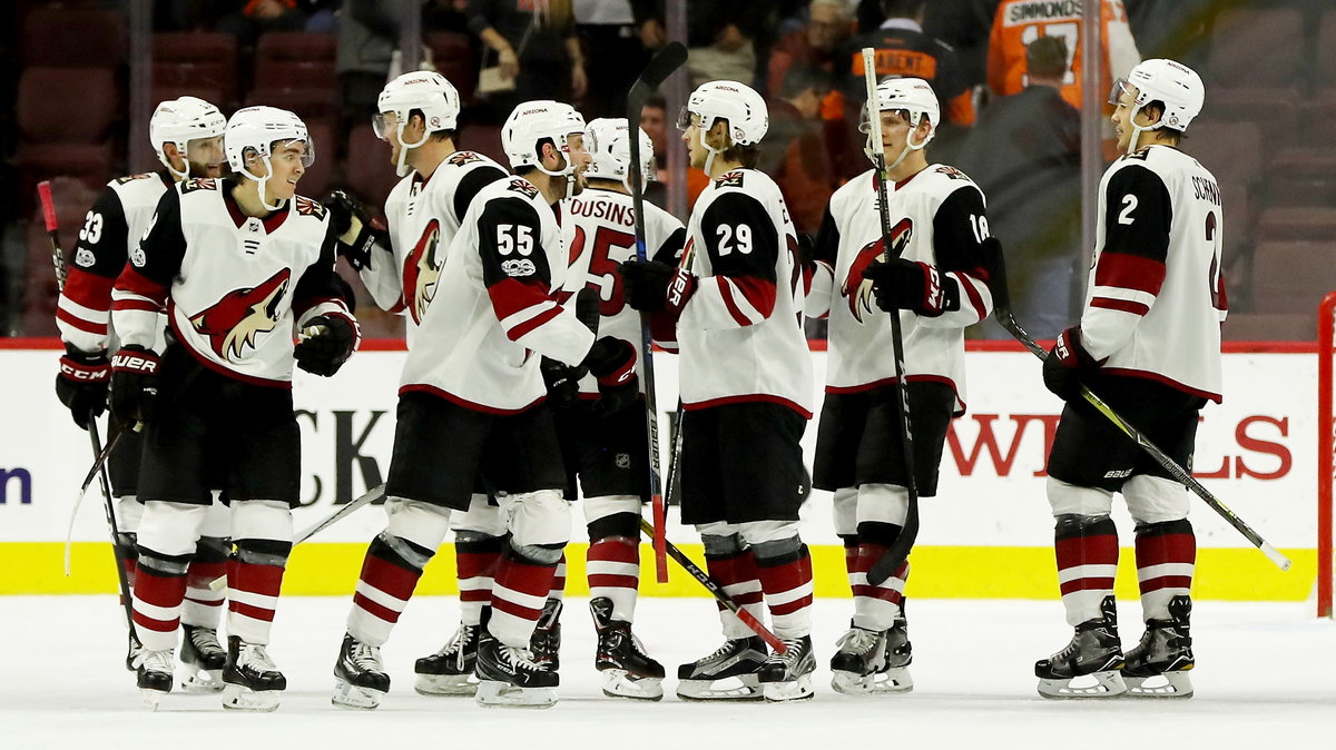 Arizona Coyotes 