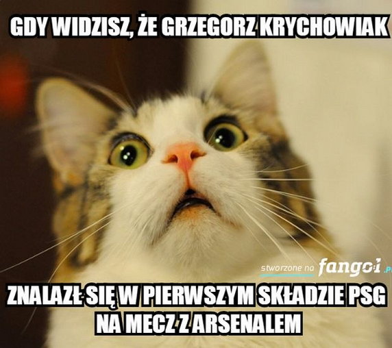 Memy po meczach Ligi Mistrzów