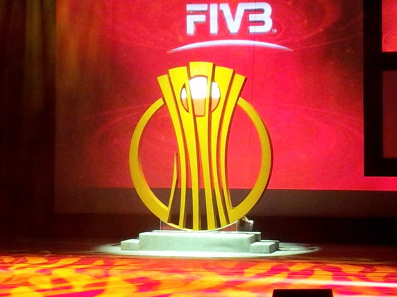 Logo MŚ 2014