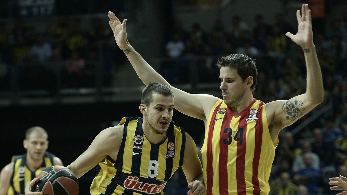 Nemanja Bjelica