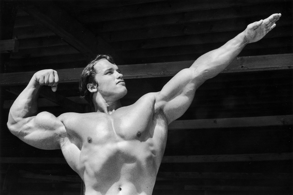 Arnold Schwarzenegger