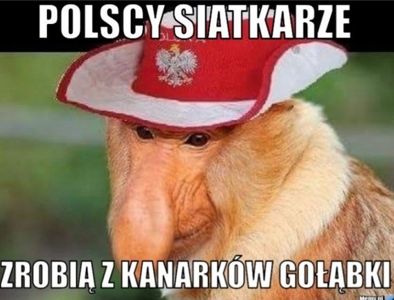 Polacy mistrzami świata w siatkówce! Memy po meczu Brazylia - Polska